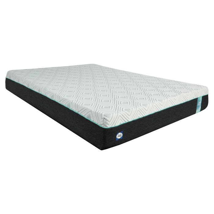 Sealy to Go 10” Medium Memory Foam Mattress in a box & Reviews Joss